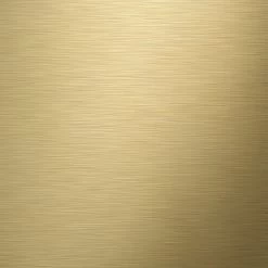 Tiger Tune Toiletborstelhouder Geborsteld Messing/mat Zwart 26 Tiger Tune Toiletborstelhouder Geborsteld Messing/mat Zwart -Badkamer Verkoop 123 10293