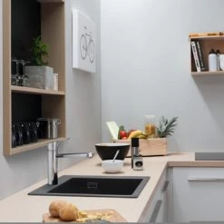 Hansgrohe Keukenkraan Focus M43 Met Hendel RVS 120 -Badkamer Verkoop 123 12049