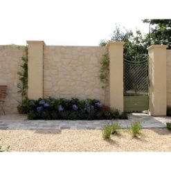 Stone Design Steenstrip Chinon Creme 0,5 M² -Badkamer Verkoop 123 12361