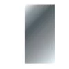 Haceka Spiegel Zilver Glas 4 Mm 45x90 Cm -Badkamer Verkoop 123 1459