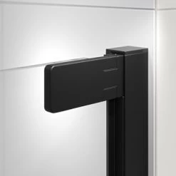 Sealskin Inc. Draaideur En Zijwand 100x100x200 Cm Met Douchemand, 8 Mm Helder Veiligheidsglas Met Antikalklaag Mat Zwart -Badkamer Verkoop 123 5606