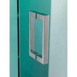 Sealskin Pendeldeur Voor Nis I AM 80x200 Cm RVS -Badkamer Verkoop 123 6851