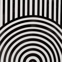 Sealskin Douchegordijn Brave 180x200cm Zwart/wit -Badkamer Verkoop 123 7923