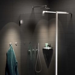 Tiger Noon Zelfklevende Grote Haak Inox 10 Tiger Noon Zelfklevende Grote Haak Inox -Badkamer Verkoop 123 8604