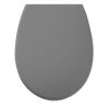 Tiger WC Bril Amadora Grijs Kunststof Met Softclose 2 Tiger WC Bril Amadora Grijs Kunststof Met Softclose -Badkamer Verkoop 123 8779