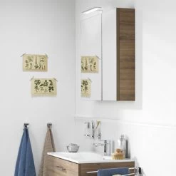 TIGER S-line Spiegelkast 60cm Chalet Eiken -Badkamer Verkoop 123 920