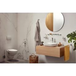 Haceka Toiletborstelhouder Aspen Hangend Chroom -Badkamer Verkoop 123 9812